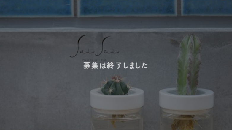 【過去事例】 老舗美濃焼メーカーが生み出す、新商品の販路開拓に挑戦 【大東亜窯業㈱】