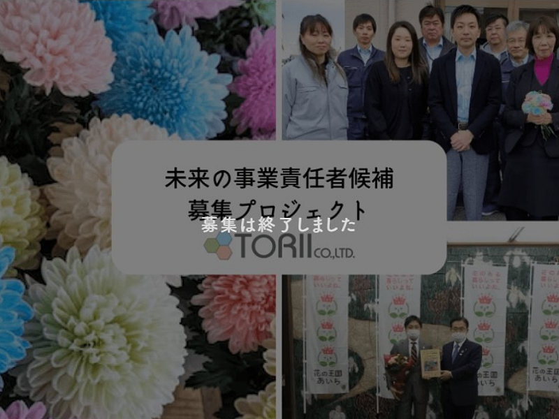 【過去事例】お試しから未来の事業責任者募集!老舗化学商社の社内データベース構築PJ【トリイ(株)】