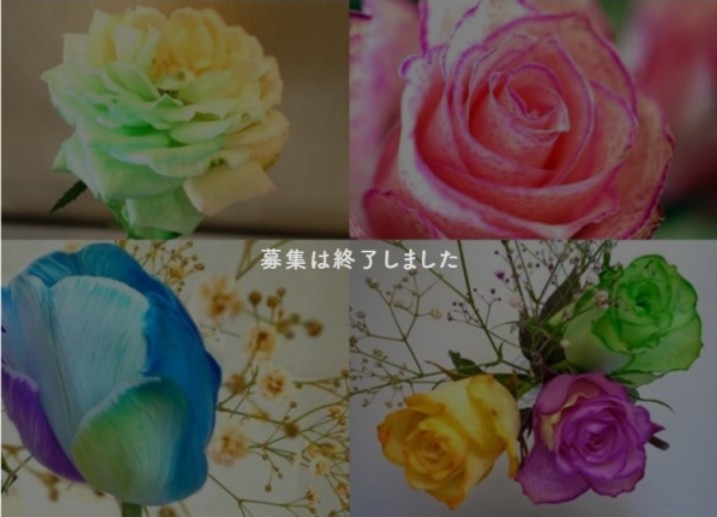 【過去事例】「花×染料」一躍話題のフラワーパレットをBtoC向けに流通【トリイ(株)】
