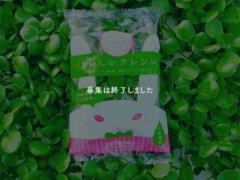 【過去事例】「岐阜のおいしいクレソン」の伝道師に!!広報戦略チーム募集【アグリラボ(株)】