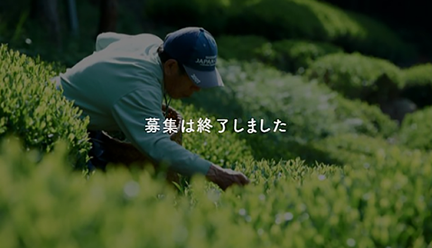 【過去事例】美濃白川茶を『売れる日本茶』にするコンセプトづくりプロジェクト【(有)白川町農業開発】