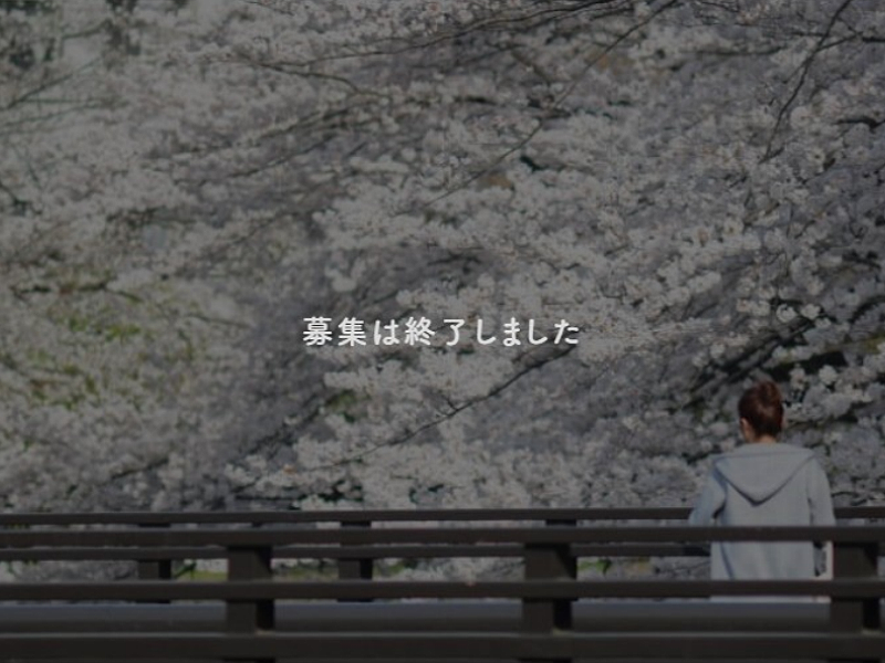【過去事例】クラファンでサポーターを集め、板橋区の観光の軸・桜並木を守りたい【板橋区観光協会】